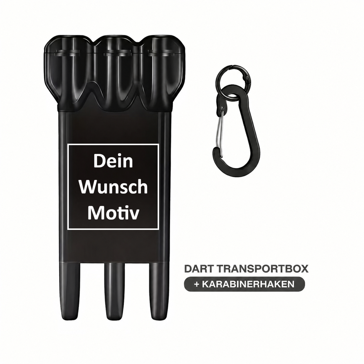 Dart-Transportbox + Individualisierung
